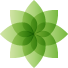 Lingua W